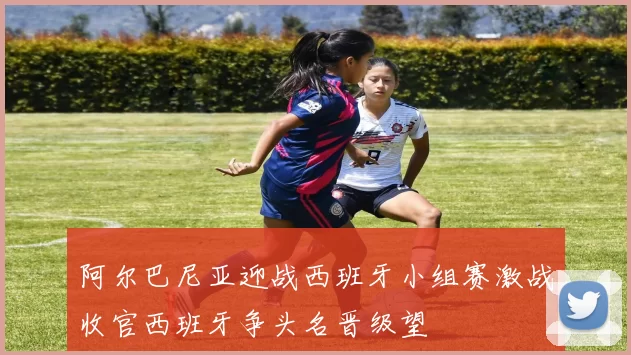 阿尔巴尼亚迎战西班牙小组赛激战收官西班牙争头名晋级望