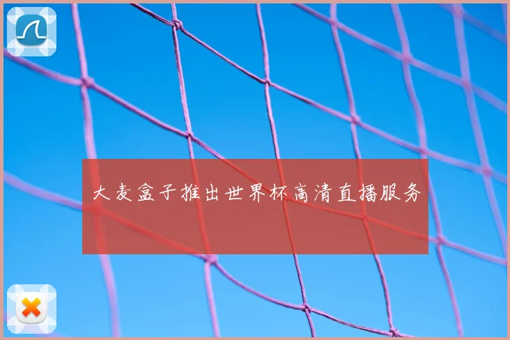 大麦盒子推出世界杯高清直播服务