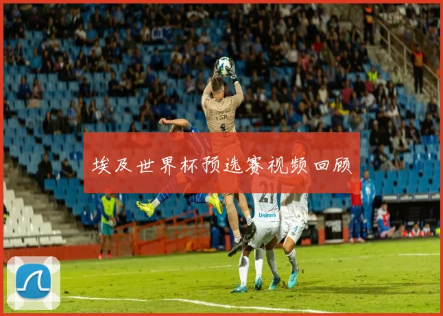 埃及世界杯预选赛视频回顾