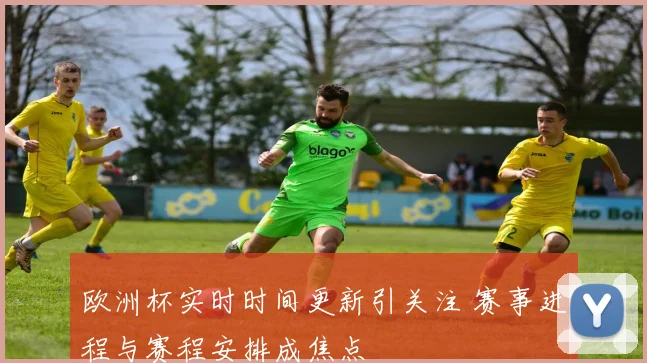 欧洲杯实时时间更新引关注 赛事进程与赛程安排成焦点