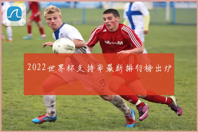 2022世界杯支持率最新排行榜出炉
